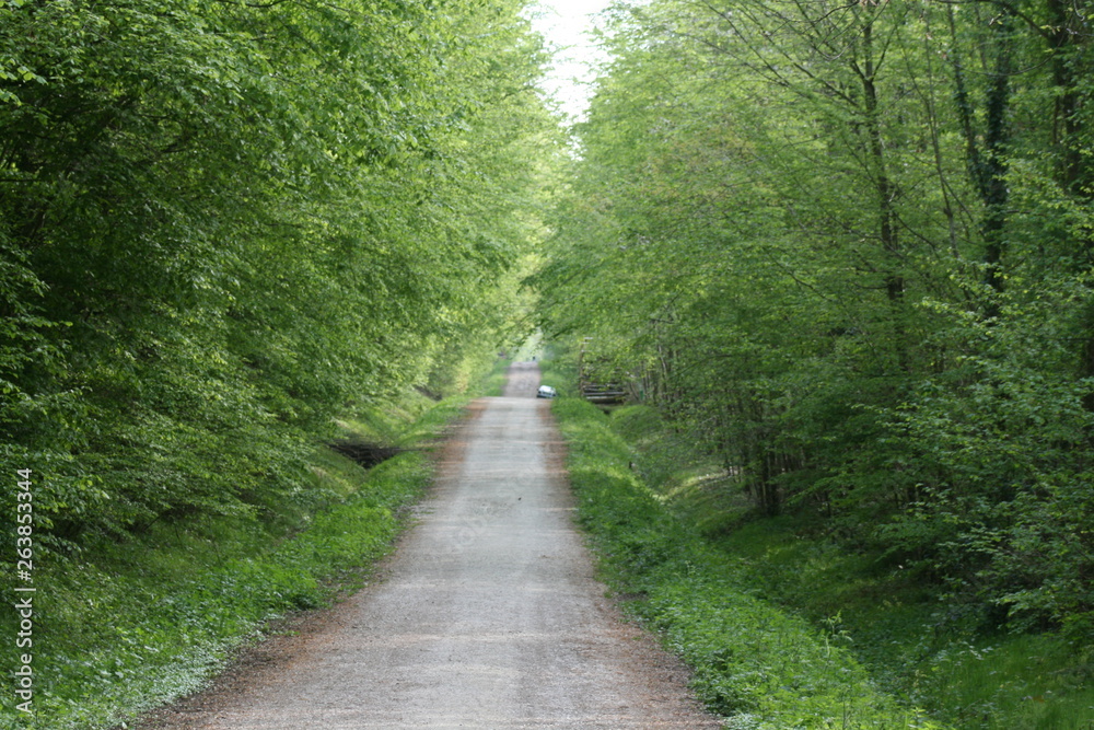 nature nature