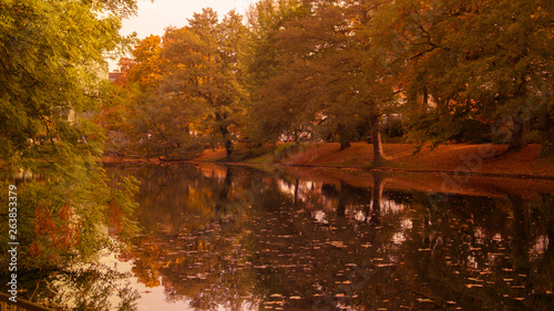 Wallpaper Mural view from the park of Bremen Germany, autumn with brightly colored leaves, and reflection of water Torontodigital.ca