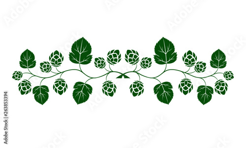 Vector illustration. Green outline (contour) of crossed hop branches with leaves isolated on white background. Decorative design element for beer menu as border for text divider and page decoration.