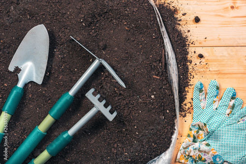 Fotografi Gardening tools on potting soil, top view