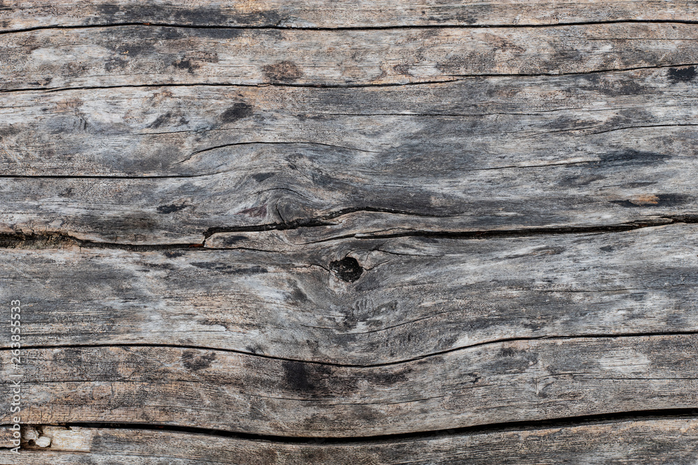wood grain background