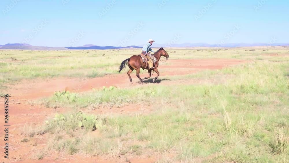 Action shot, tracking Rancher riding through landscape of Texas, Aerial 4k