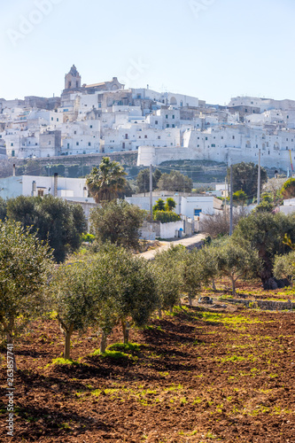 Ostuni mit Olivenbaum in Italien photo