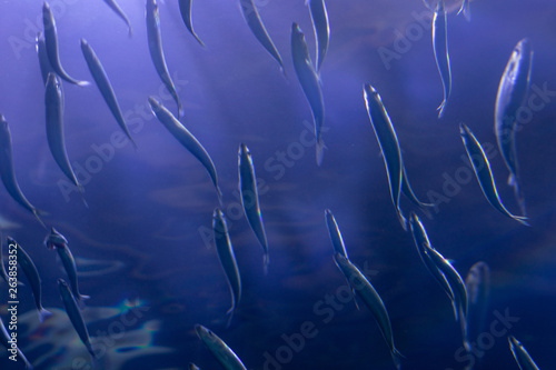 abstract background