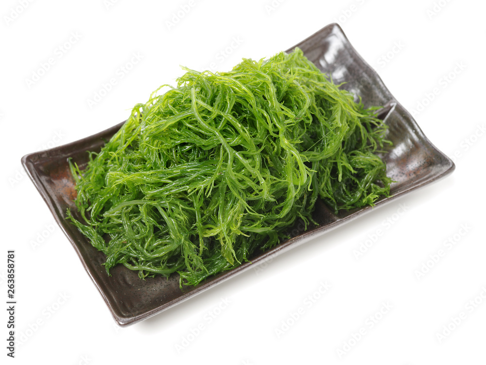 Laminaria (Kelp) Seaweed Isolated on White Background Laminaria (Kelp) Seaweed Isolated on White Background