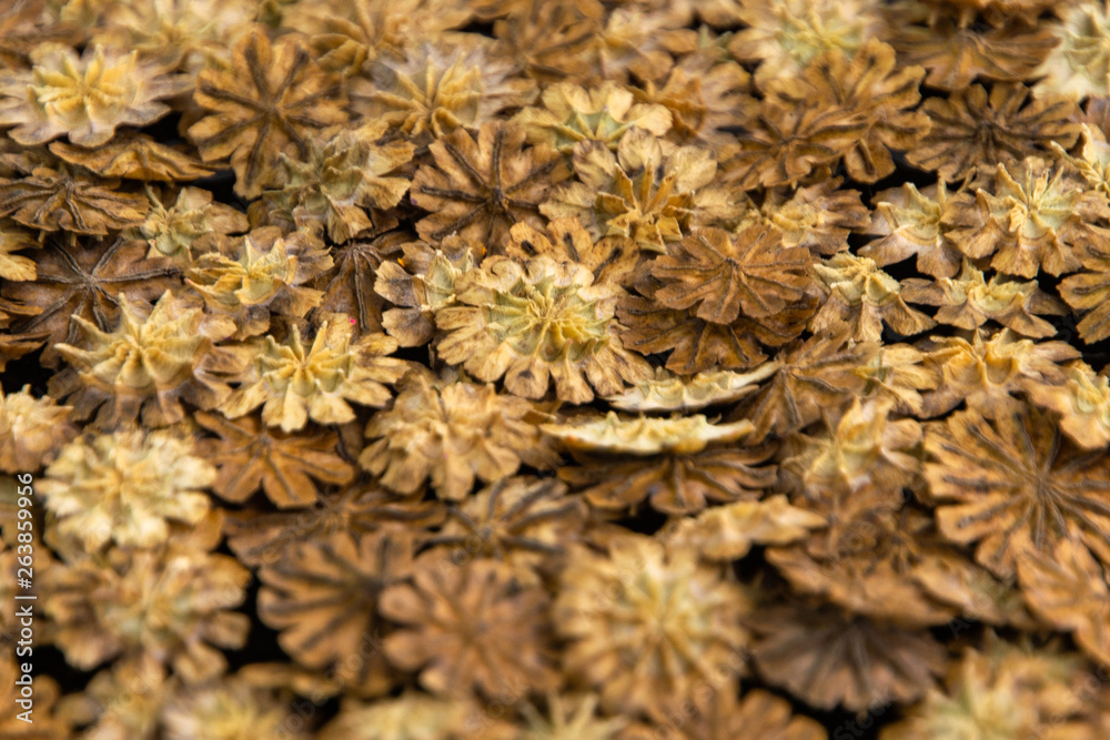 Natural background: pieces of dry poppy plants on a black plate, close. short focus Natural background: pieces of dry poppy plants on a black plate, close. short focus