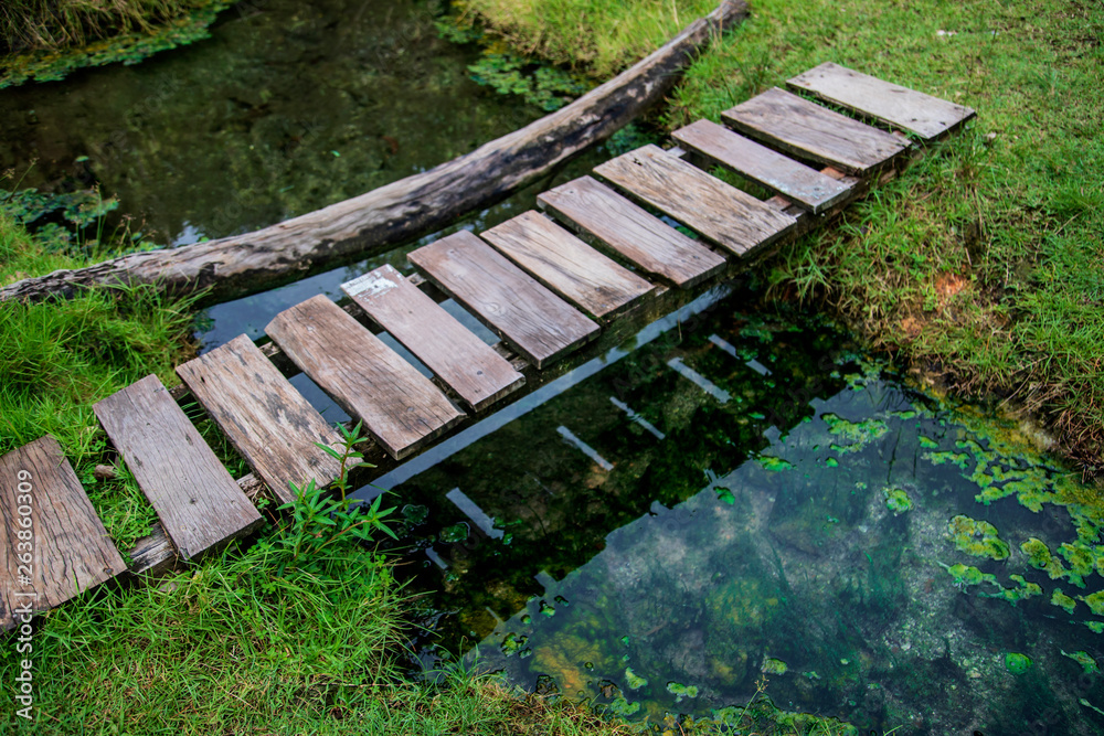 Fototapeta premium Wood bridge