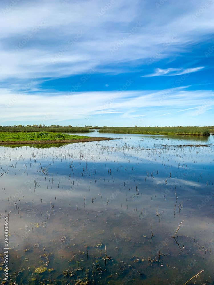 Fototapeta premium landscape with lake and clouds