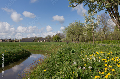 Fototapeta Naklejka Na Ścianę i Meble -  Ruinerwold Drente Netherlands. Village countrylife. Dr. Laryweg peartrees