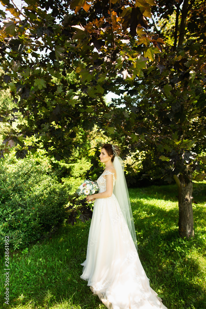 Bride in fashion wedding dress on natural background. A beautiful woman portrait in the park Bride in fashion wedding dress on natural background. A beautiful woman portrait in the park