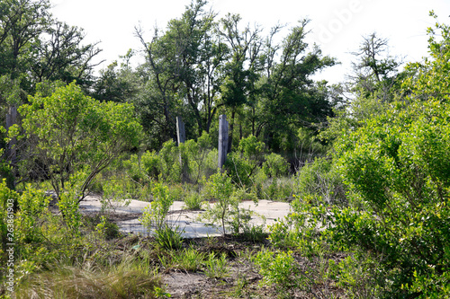 Bequest of Hurrikan Katrina, Gautier, Mississippi photo