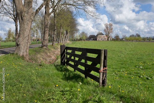 Ruinerwold Drente Netherlands. Village countrylife. Dr. Laryweg peartrees photo