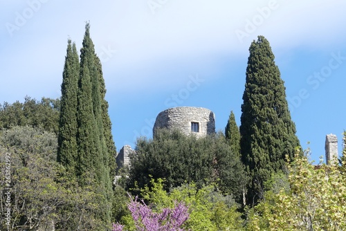 provence