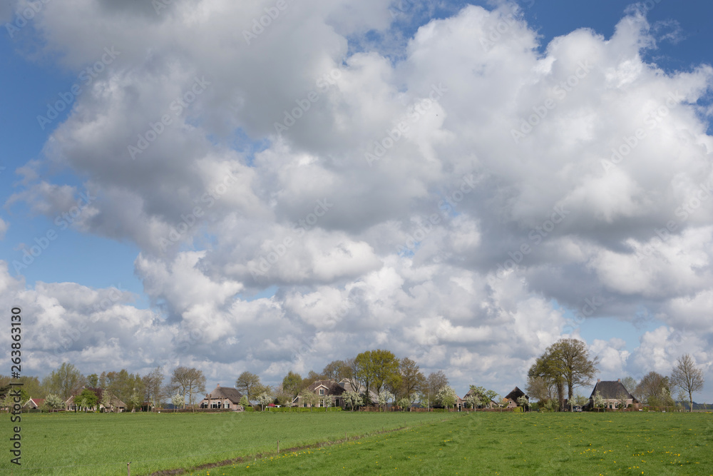 Ruinerwold Drente Netherlands. Village countrylife. Dr. Laryweg peartrees