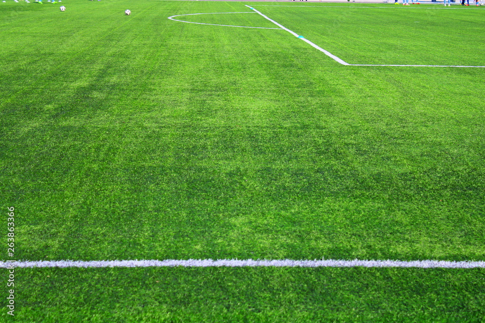 Fototapeta premium GREEN soccer field