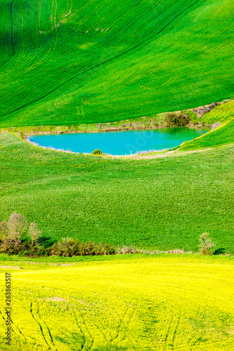 Obraz na płótnie Beautiful view of the country hills near Siena, tuscany, Italy, in springtime w salonie