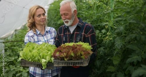 Wallpaper Mural Farming, gardening, agriculture and people concept. Happy people working at farm greenhouse Torontodigital.ca