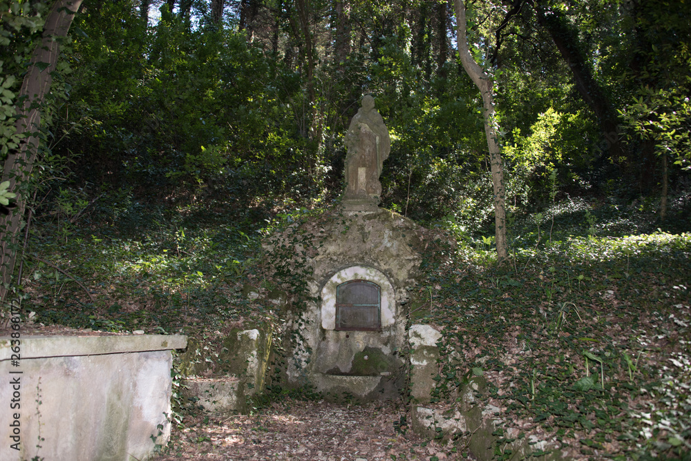 At a Park near an Abandoned Villa in Southern Italy At a Park near an Abandoned Villa in Southern Italy