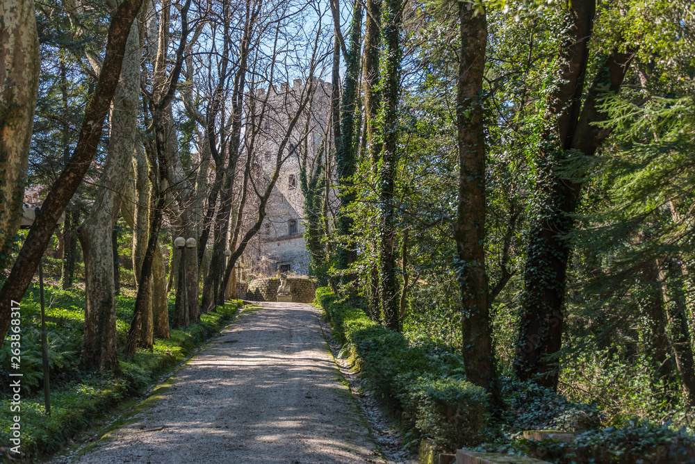 At a Park near an Abandoned Villa in Southern Italy At a Park near an Abandoned Villa in Southern Italy
