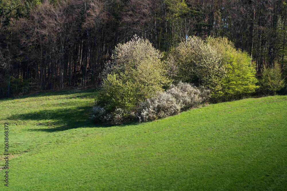 Spring landscape in Moravia. South Moravia, Czech Republic.