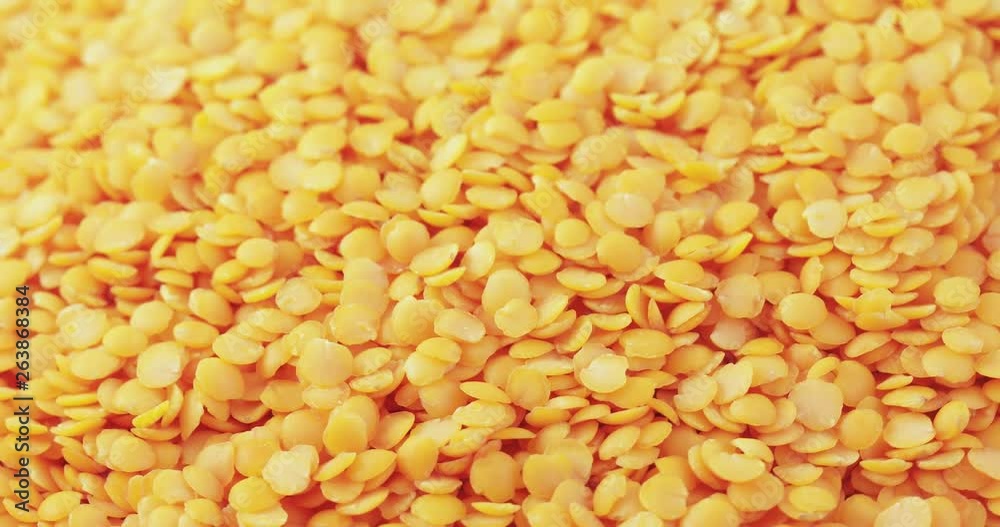 Lentil Persian bulk Lentil Persian bulk