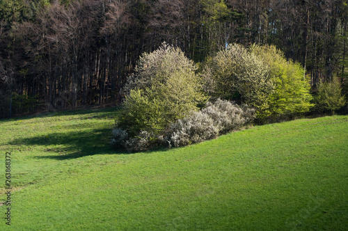 Spring landscape in Moravia. South Moravia, Czech Republic.