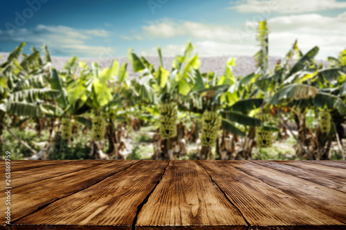 Bananas plantation and wooden table of free space for your decoration. 