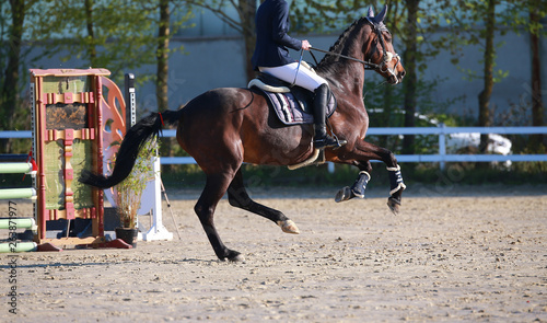 Horse in jumping tournament with rider in the run-up to jump from obliquely behind photographed..