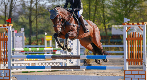 Horse with rider photographed in jumping tournament during the flight phase over the jump..