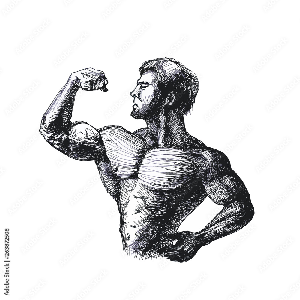 men bodybuilder side chest pose - Stock Photo [29758566] - PIXTA