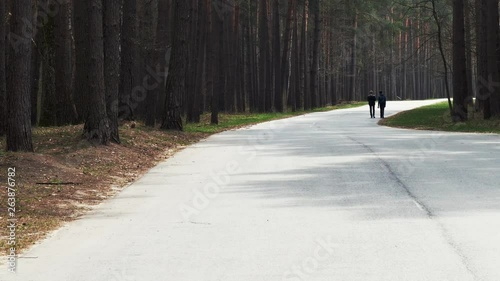 Wallpaper Mural Pine forest. deaf forest road. people hitchhike. Torontodigital.ca