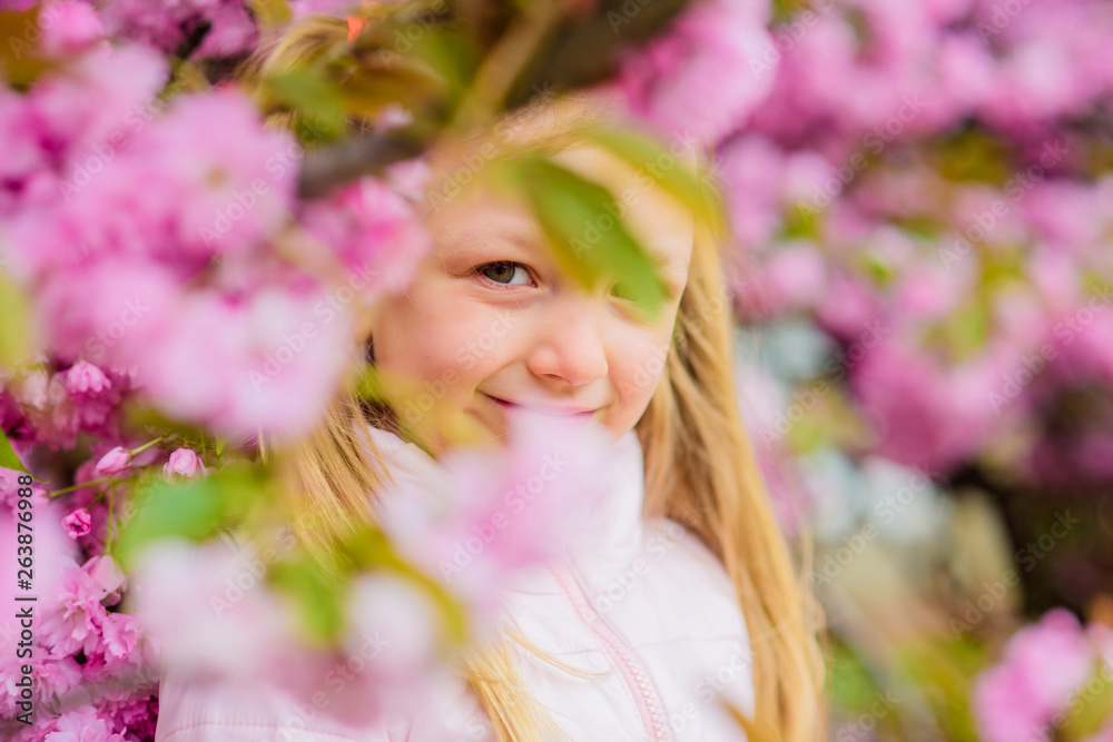 Allergy remedy. Pollen allergy concept. Get rid of seasonal allergy. Girl enjoying floral aroma. Kid on pink flowers sakura tree background. Child enjoy life without allergy. Sniffing flowers Allergy remedy. Pollen allergy concept. Get rid of seasonal allergy. Girl enjoying floral aroma. Kid on pink flowers sakura tree background. Child enjoy life without allergy. Sniffing flowers