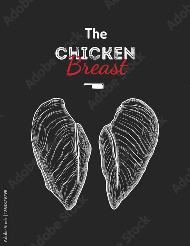Chicken breast drawing illustration. 