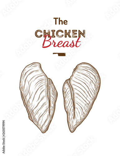 Chicken breast drawing illustration. 