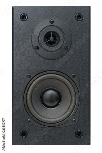 front side of an acoustic speaker with two speakers