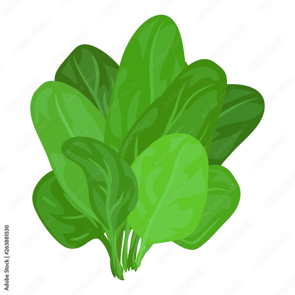 Spinach leaves icon. Cartoon of spinach leaves vector icon for web ...