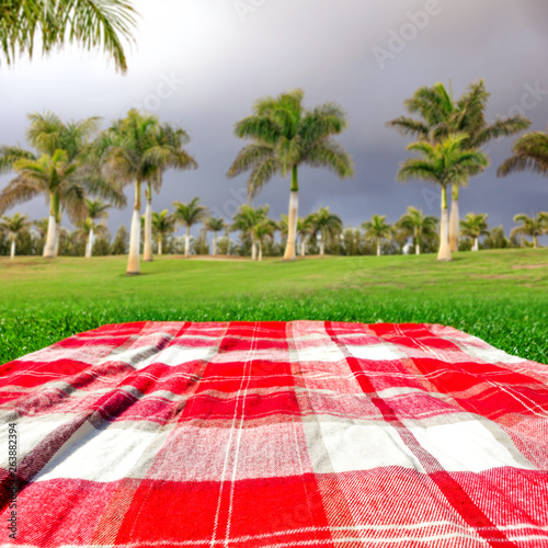 Red and white blanket on grass and palms . Free space for your decoration. 