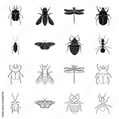 Vector illustration of insect and fly symbol. Set of insect and element vector icon for stock.