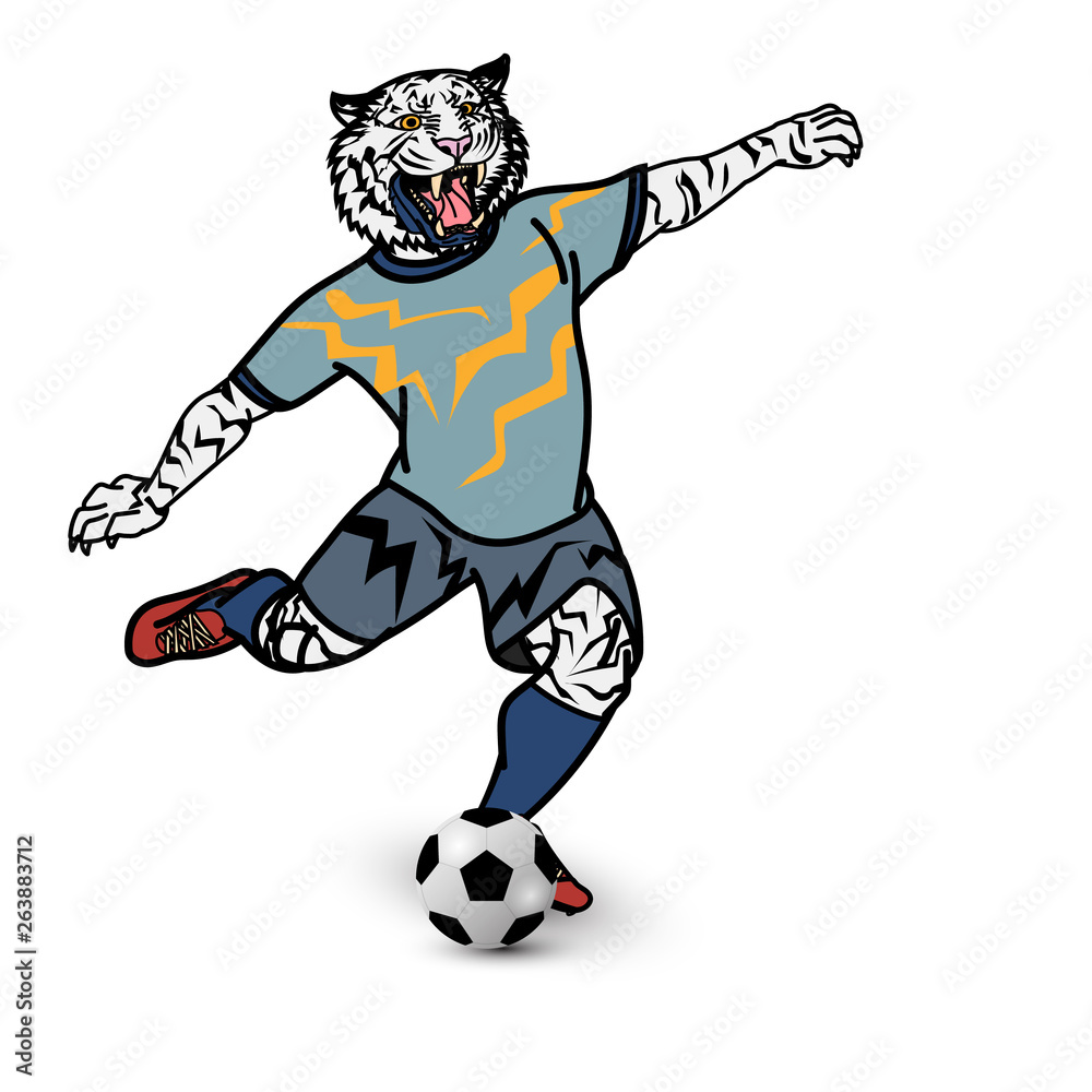 Tiger football player is kicking football on white background