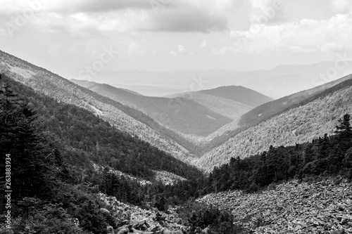 Black and white view from the top of mountain Livadiyskaya - Pidan in Sikhote-Alin, Russia. photo
