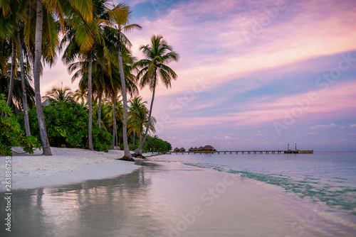 Fototapeta Naklejka Na Ścianę i Meble -  Sunset over a tropical beach with palm trees and calm sea in the Maldives