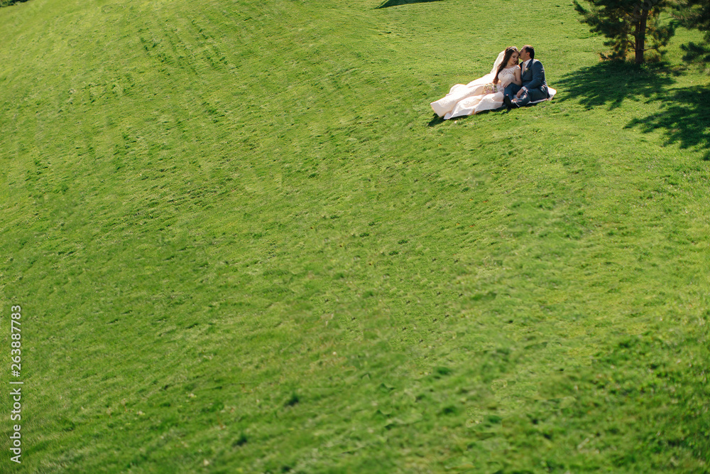Naklejka premium Happy bride and groom are sitting on the green grass