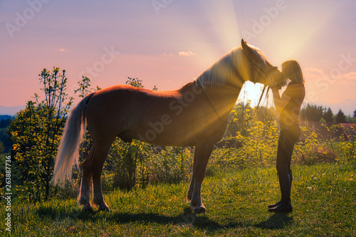 Pferd und Reiter im Abendlicht