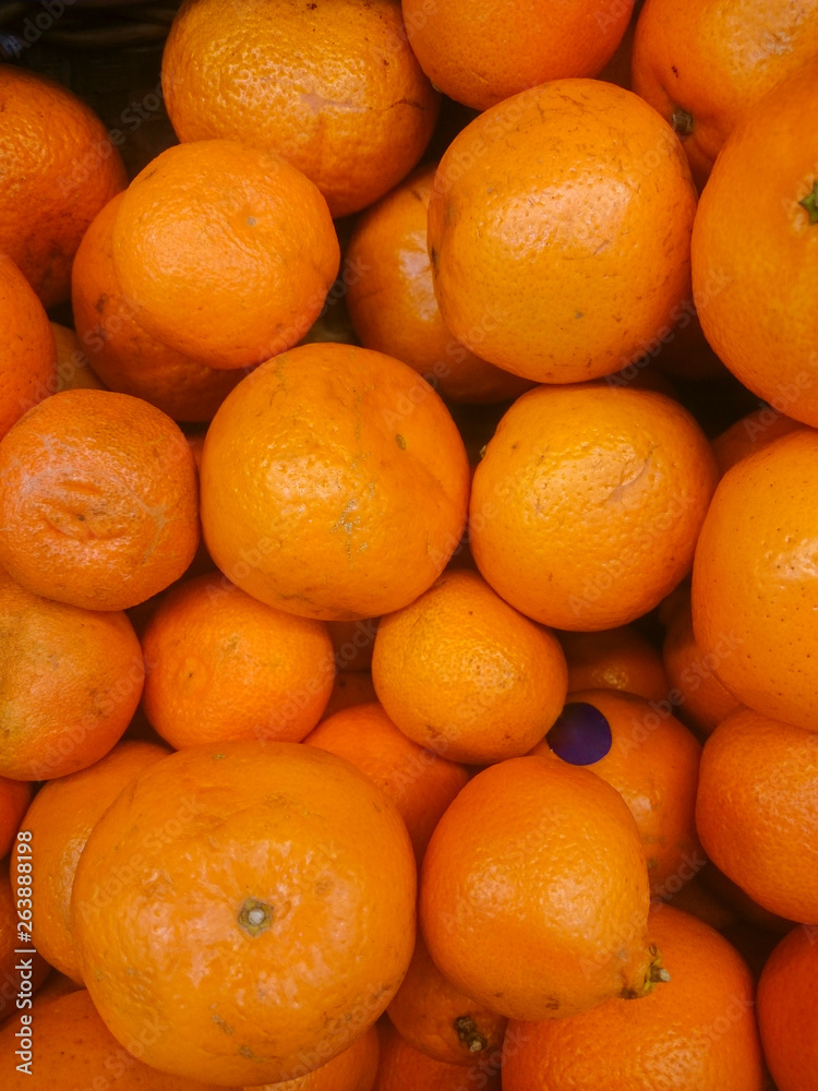 background of juicy ripe oranges freshly picked from the orchard tree background of juicy ripe oranges freshly picked from the orchard tree