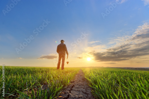 Wallpaper Mural people wheat field sunset / landscape spring field agriculture of Ukraine Torontodigital.ca