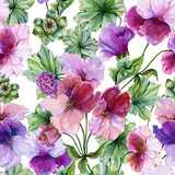 Beautiful regal pelargonium (geranium) flower with green leaves on white background. Seamless floral pattern. Watercolor painting. Hand drawn and painted illustration