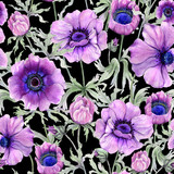 Beautiful anemone flower with green leaves on black background.  Seamless floral pattern. Watercolor painting. Hand drawn and painted illustration