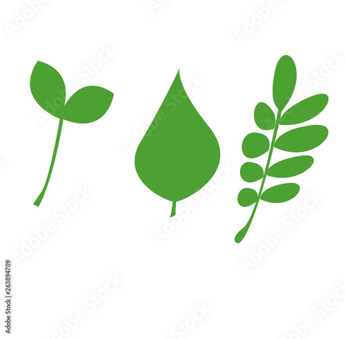 Set simple illustration of three fresh green tree leaf . Can be used for postcards, flyers and posters. Garden element, ecology sign