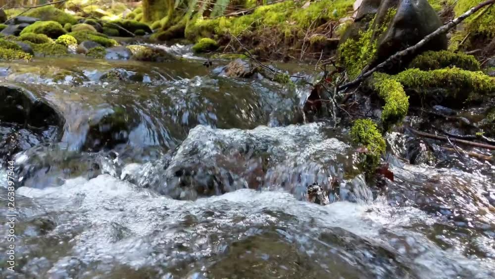 Water flowing over rocks covered by moss in the forest of the Olympic National Forest Water flowing over rocks covered by moss in the forest of the Olympic National Forest