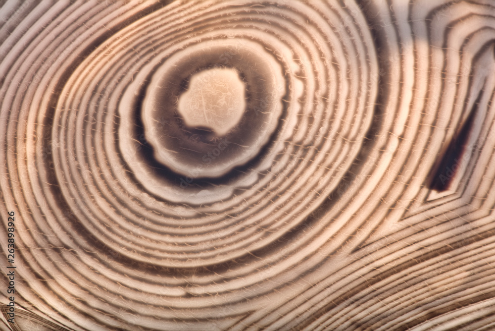 Naklejka premium agate light and dark brown concentric lines